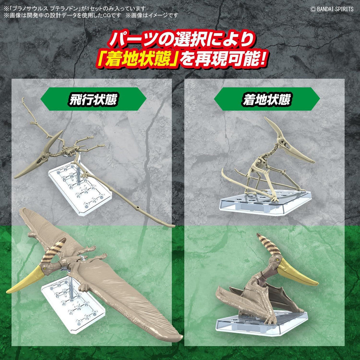 Bandai Plannosaurus Pteranodon Plastic Model