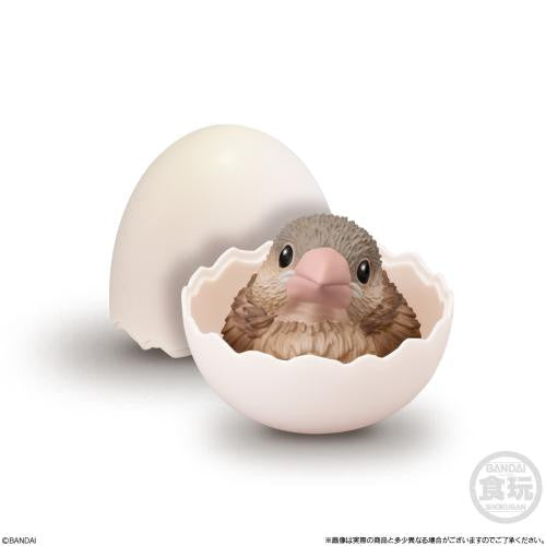 Bandai Candy Handheld Baby Friends - Birds - 12pcs Box