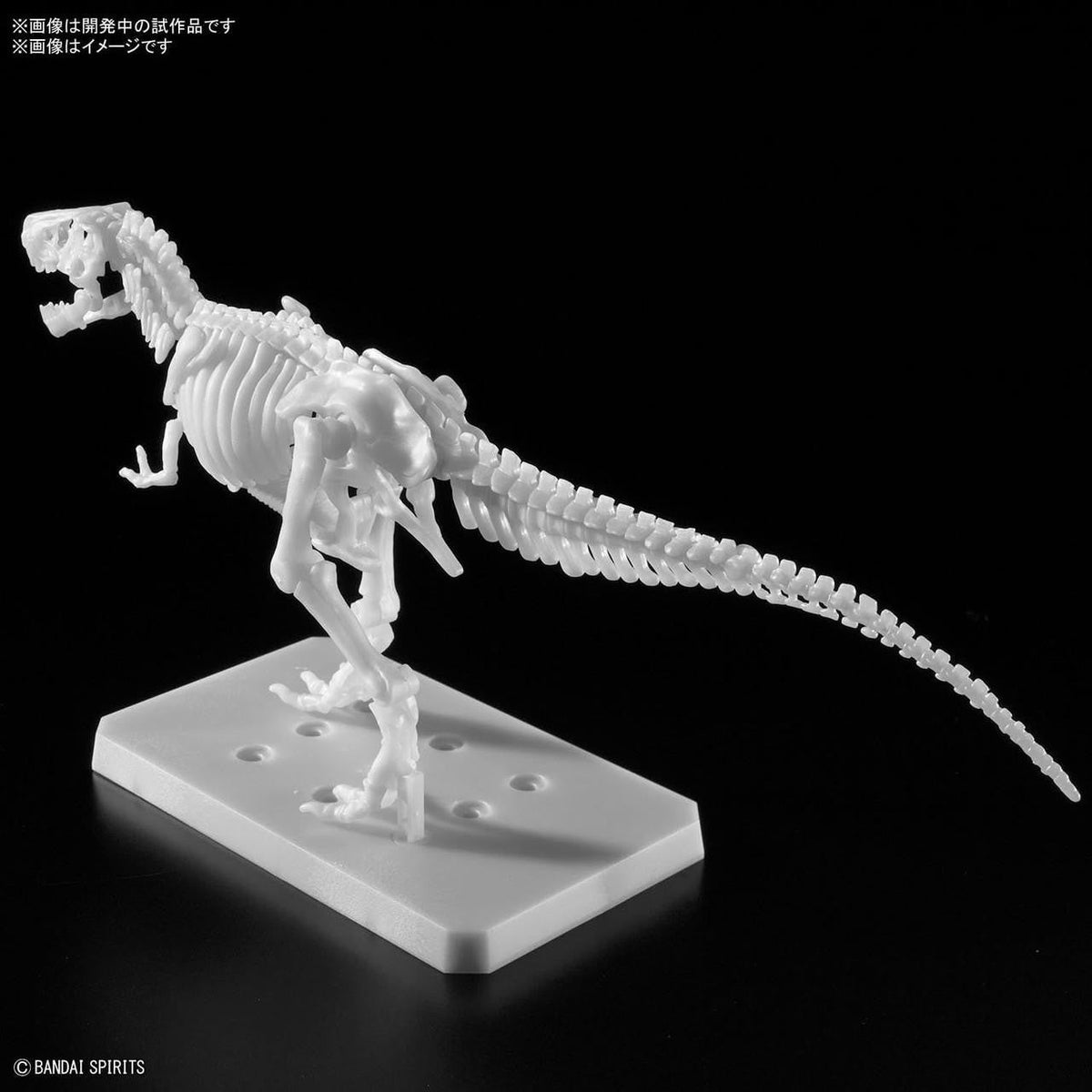 Bandai Plannosaurus Tyrannosaurus Unpainted Ver. Plastic Model