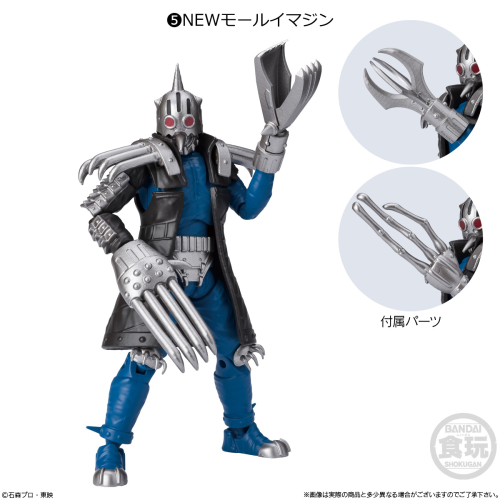  Bandai Candy Shodo-O Kamen Rider 9 10Pcs Box (Candy Toy)