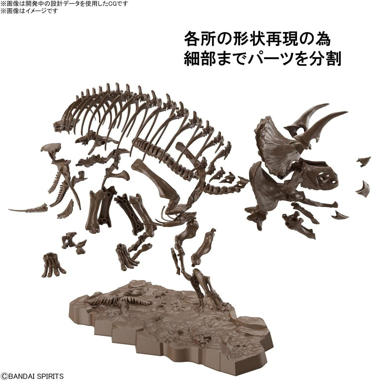 Bandai Imaginary Skeleton 1/32 Triceratops Plastic Model