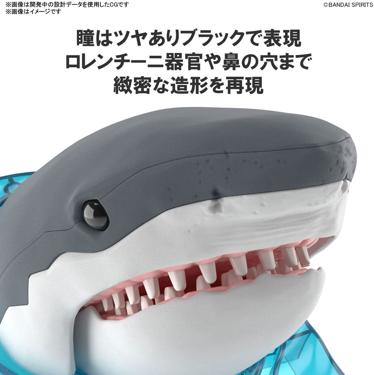  Bandai Exploring Lab Nature Great White Shark Plastic Model
