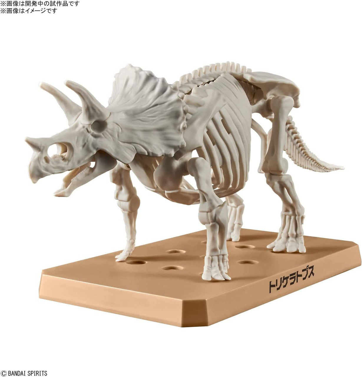  Bandai Plannosaurus Triceratops Plastic Model