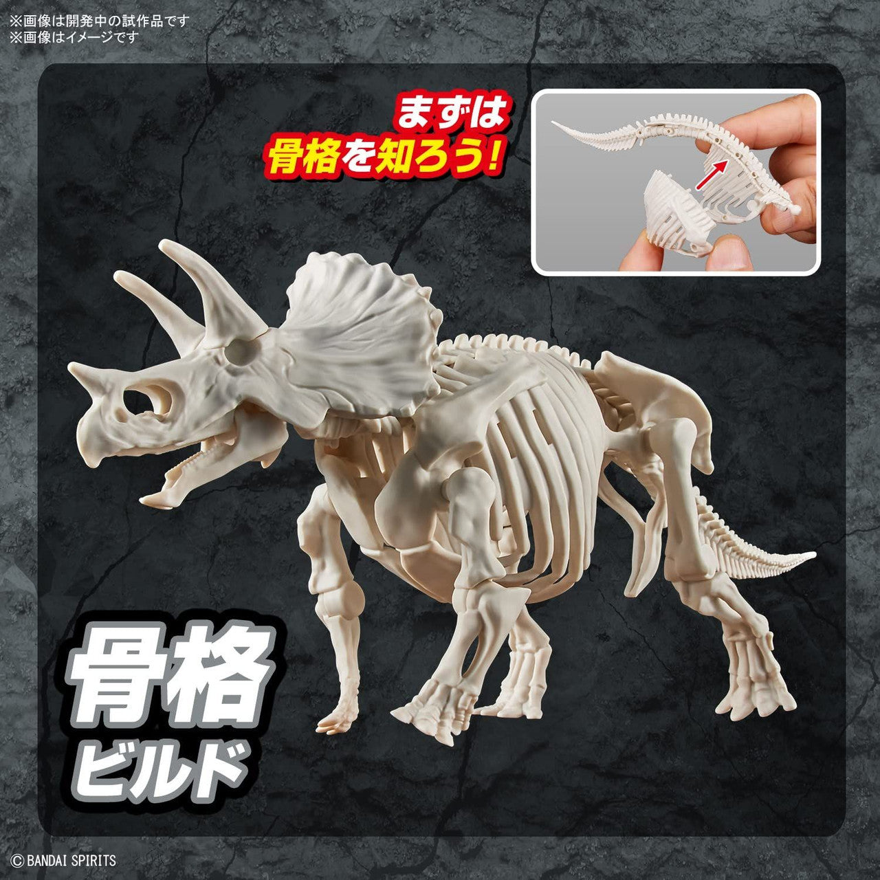  Bandai Plannosaurus Triceratops Plastic Model
