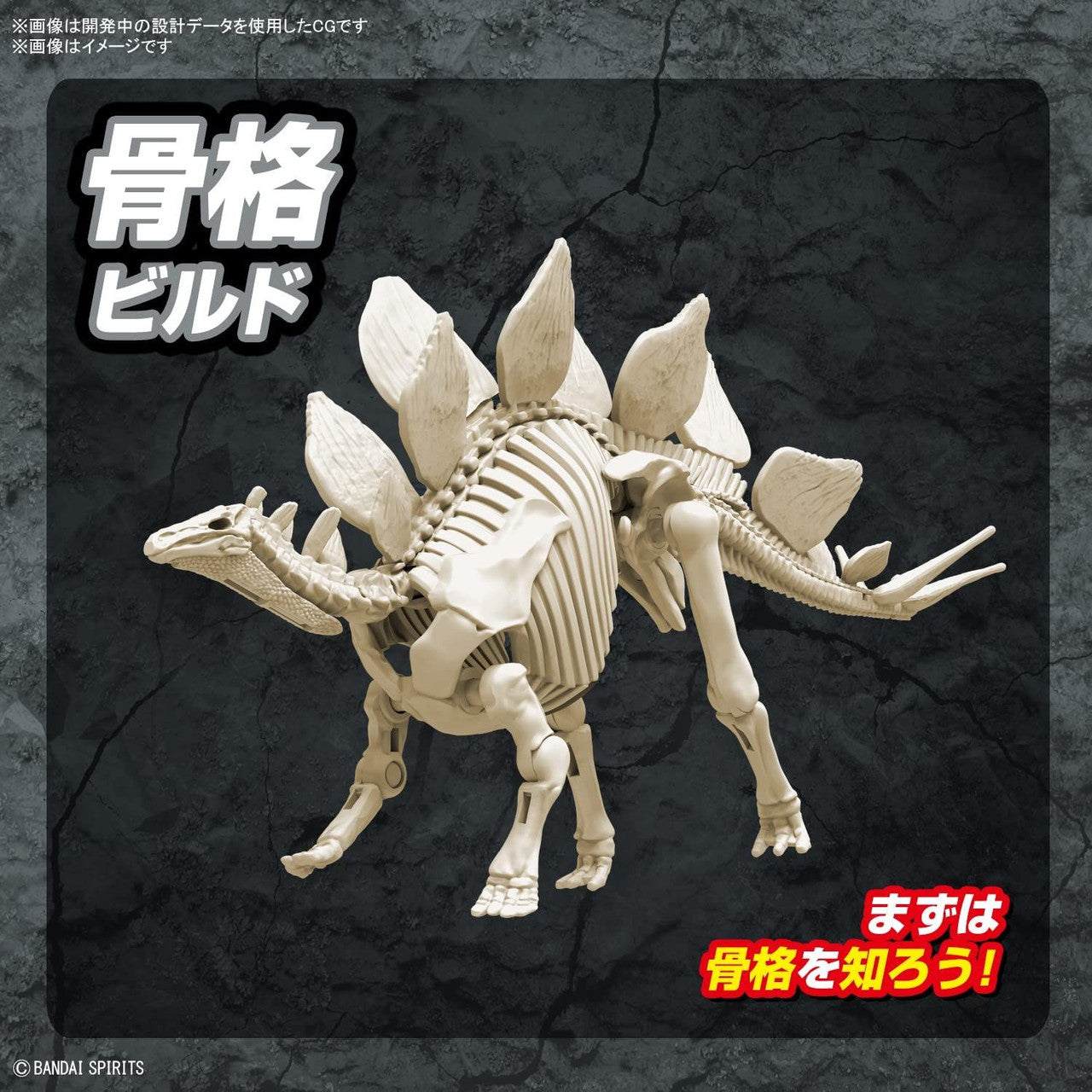  Bandai Plannosaurus Stegosaurus Plastic Model