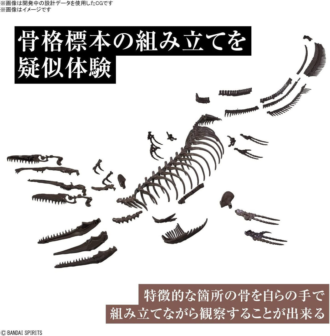  Bandai Imaginary Skeleton 1/32 Mosasaurus Plastic Model