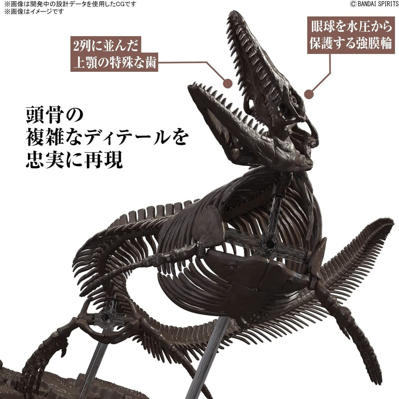  Bandai Imaginary Skeleton 1/32 Mosasaurus Plastic Model