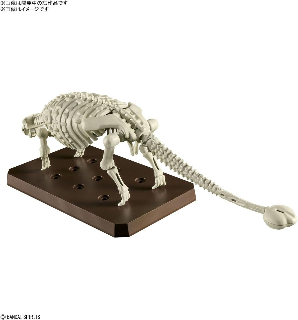  Bandai Plannosaurus Ankylosaurus Plastic Model