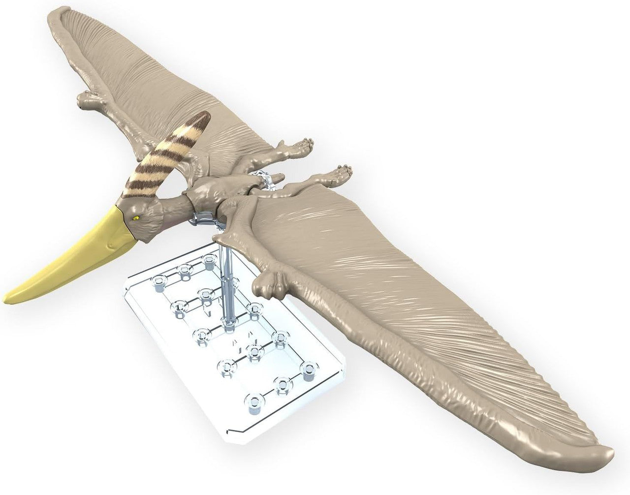 Bandai Plannosaurus Pteranodon Plastic Model