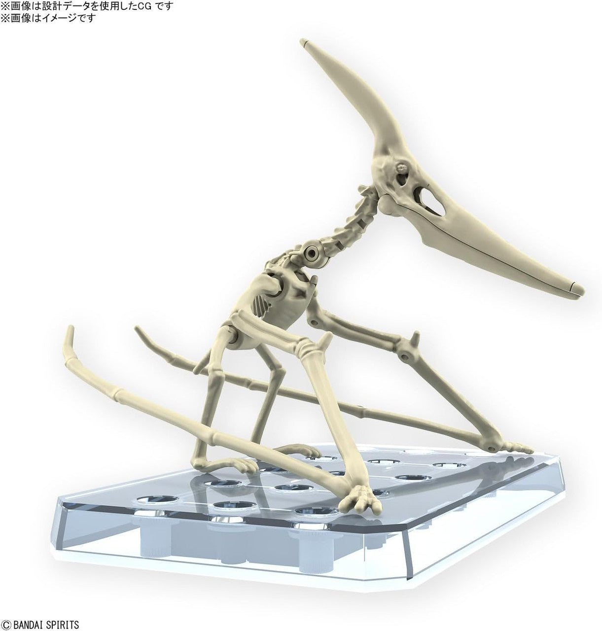  Bandai Plannosaurus Pteranodon Plastic Model