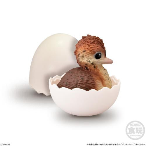  Bandai Candy Handheld Baby Friends - Birds - 12pcs Box