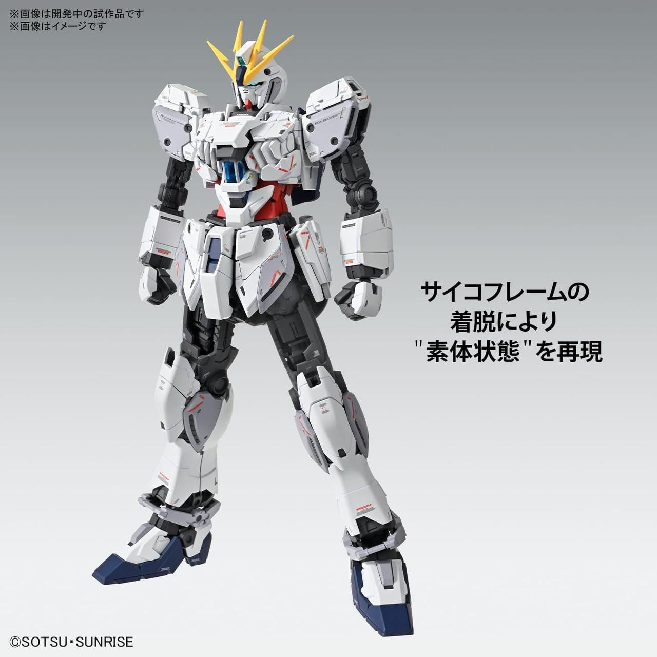  Bandai MG 1/100 Narrative Gundam C-Packs Ver.Ka Plastic Model