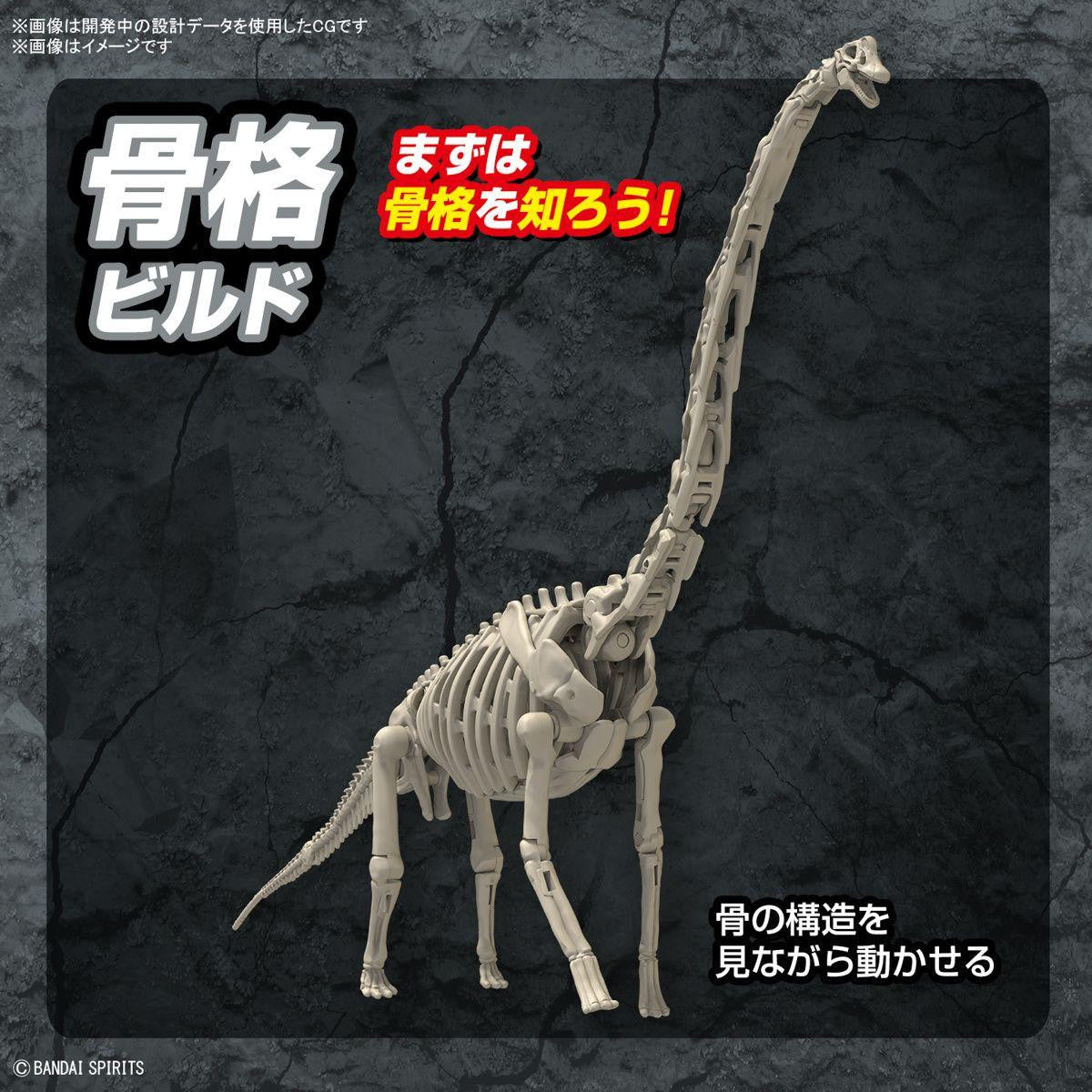  Bandai Plannosaurus Brachiosaurus Plastic Model