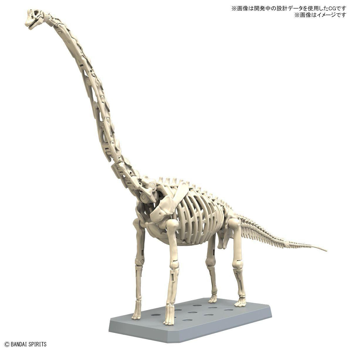  Bandai Plannosaurus Brachiosaurus Plastic Model