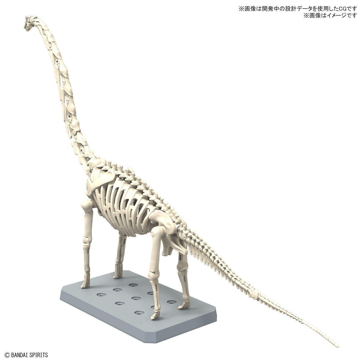  Bandai Plannosaurus Brachiosaurus Plastic Model
