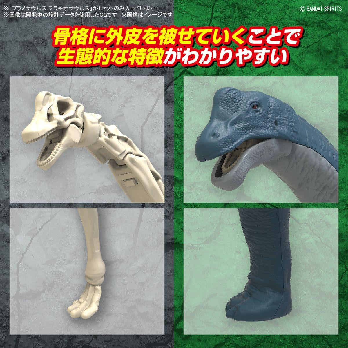 Bandai Plannosaurus Brachiosaurus Plastic Model